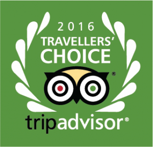 trip-advisor